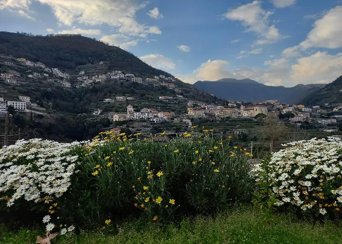 La Margherita Fiorita