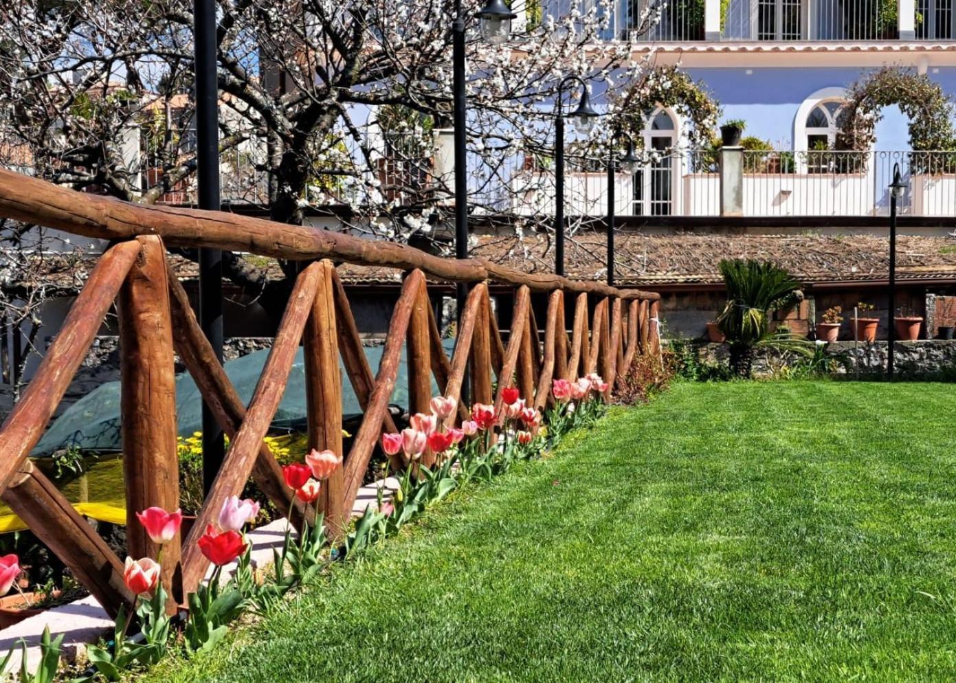 Guest house La Margherita Fiorita