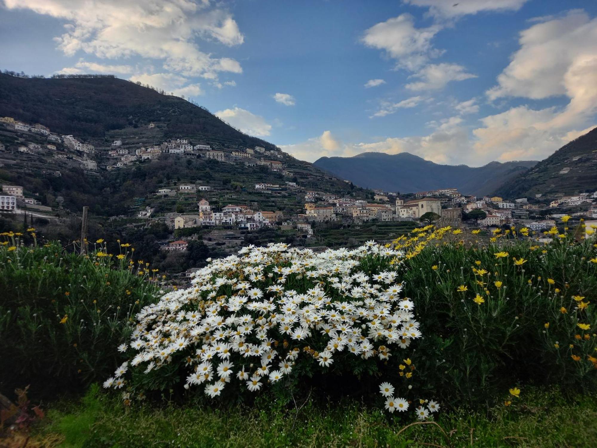 La Margherita Fiorita Guest house *